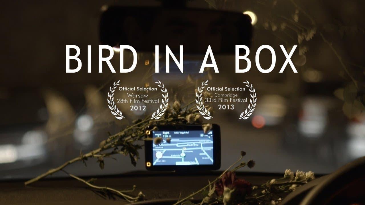 Bird in a Box backdrop