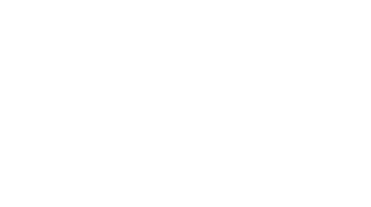 The Wedding Veil Legacy logo