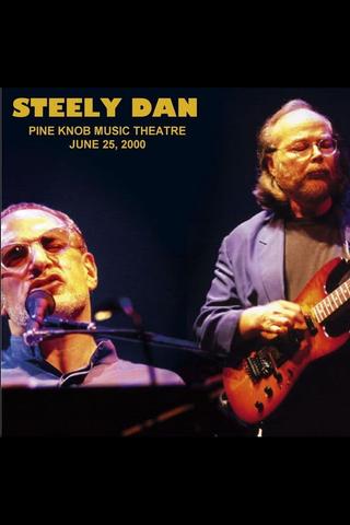 Steely Dan: Live at Pine Knob Theatre poster