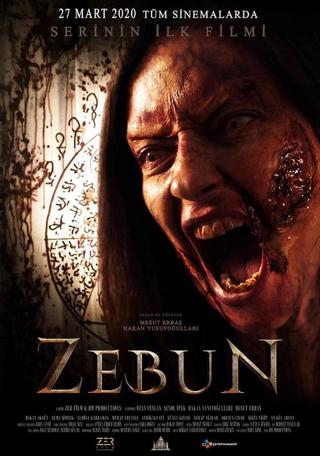 Zebun poster