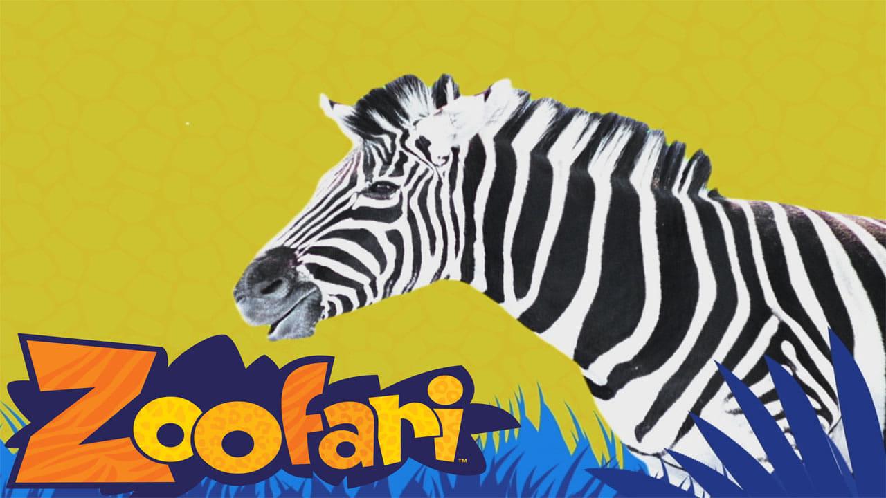 Zoofari backdrop