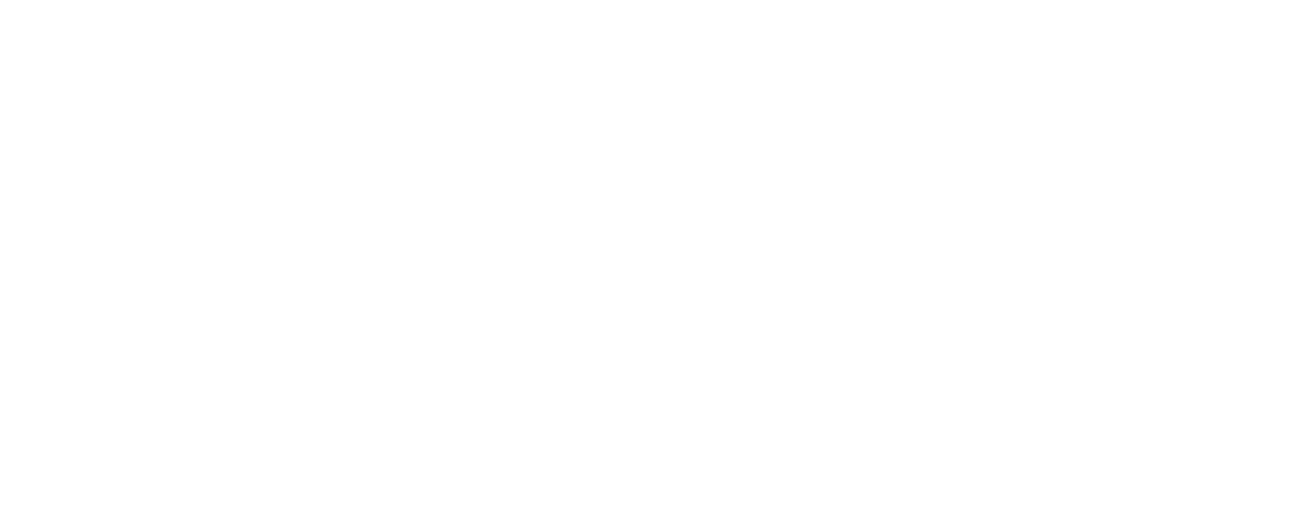 The Black Belt - The True History of Fernando Tererê logo