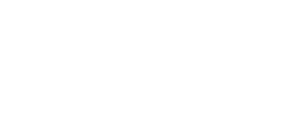 Wind Direction logo