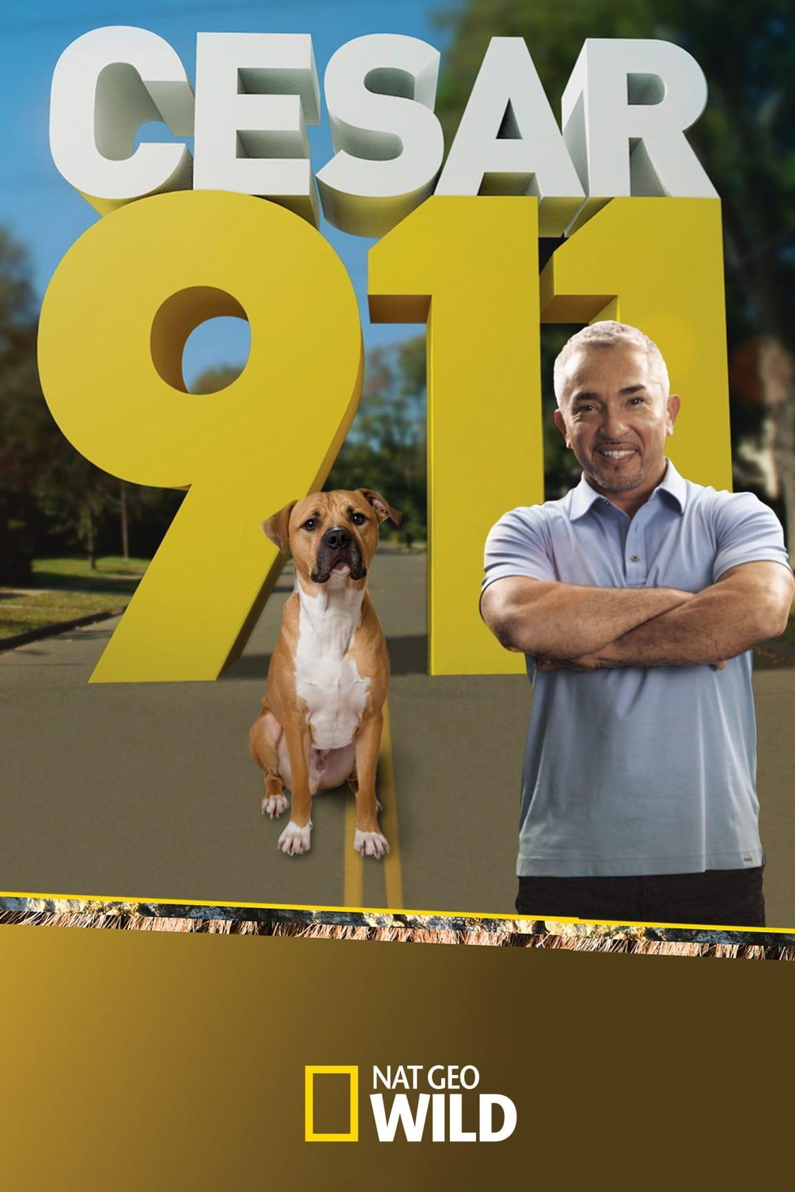 Cesar 911 poster