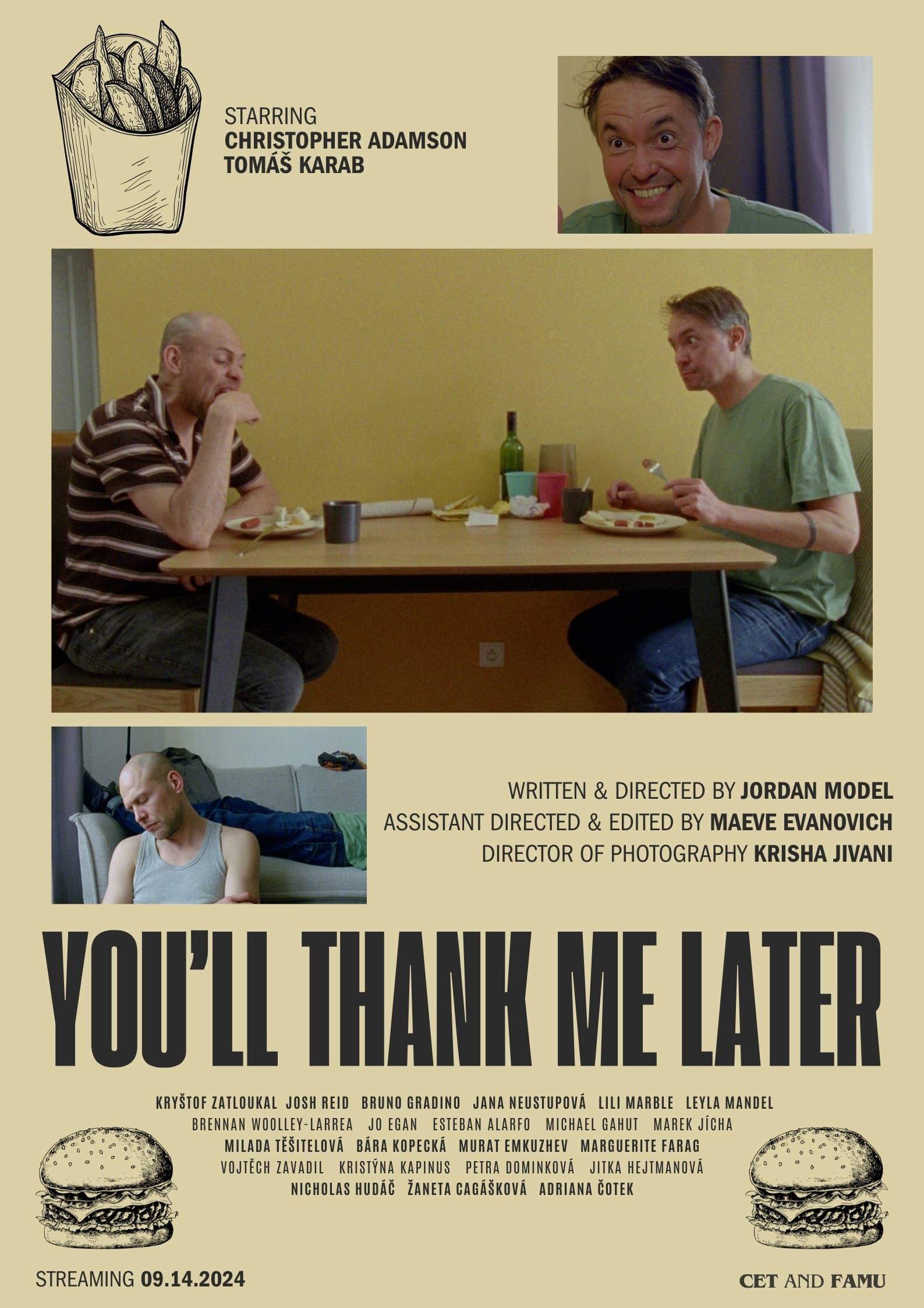 You'll Thank Me Later poster