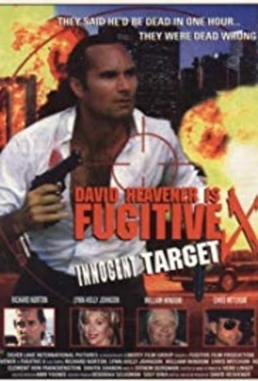 Fugitive X: Innocent Target poster