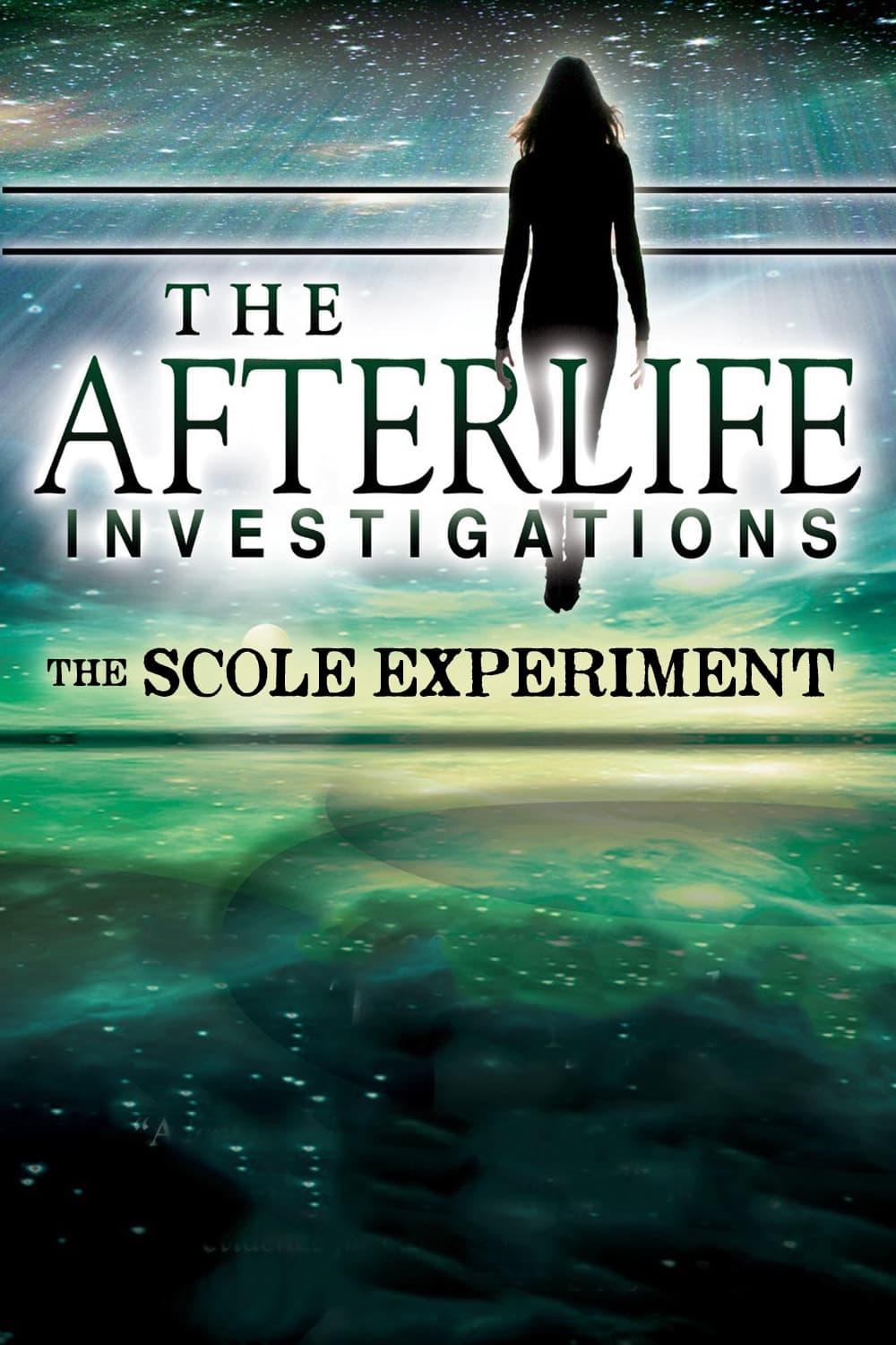 The Afterlife Investigations: The Scole Experiments poster