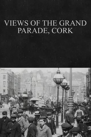Views of the Grand Parade, Cork poster