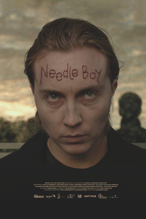 Needle Boy poster