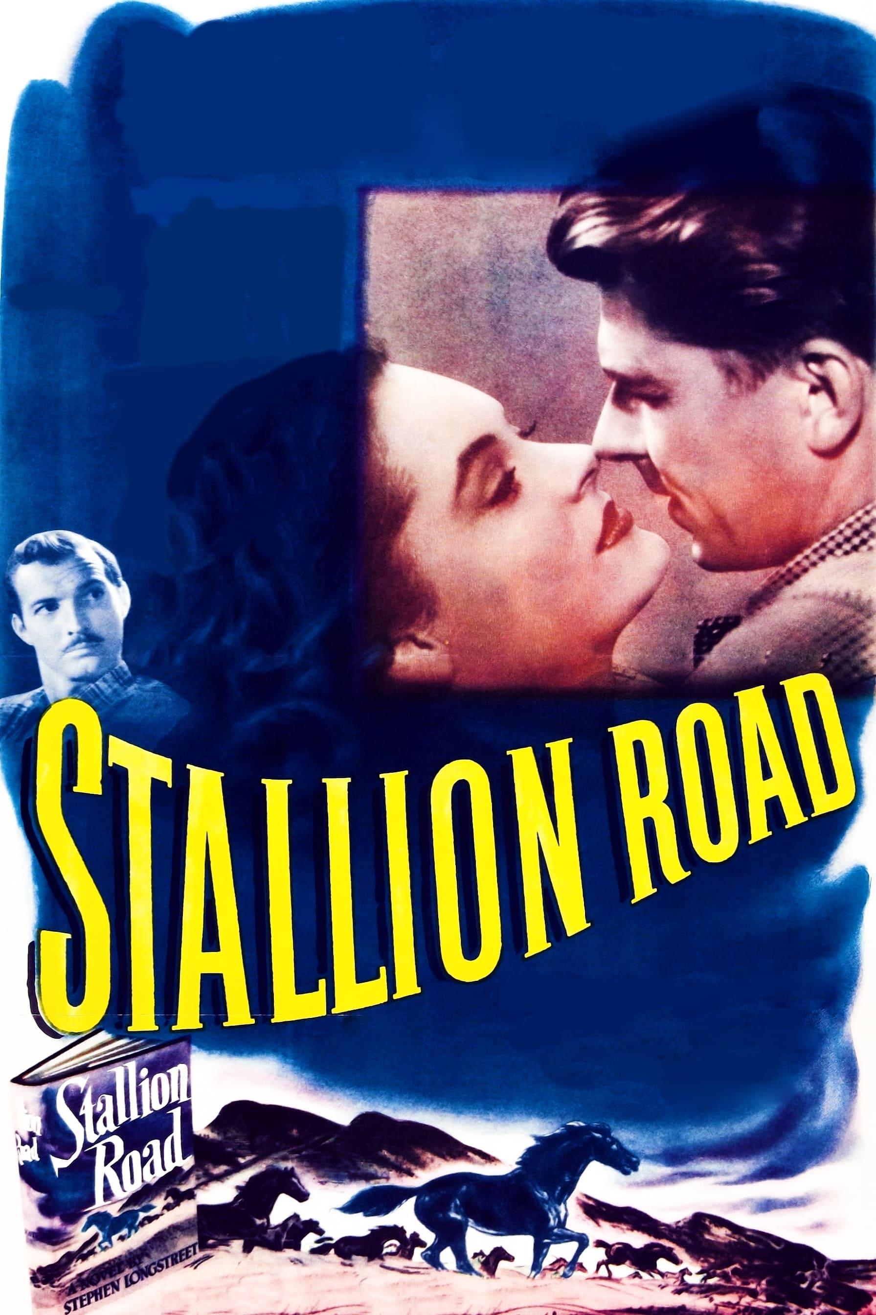 Stallion Road poster