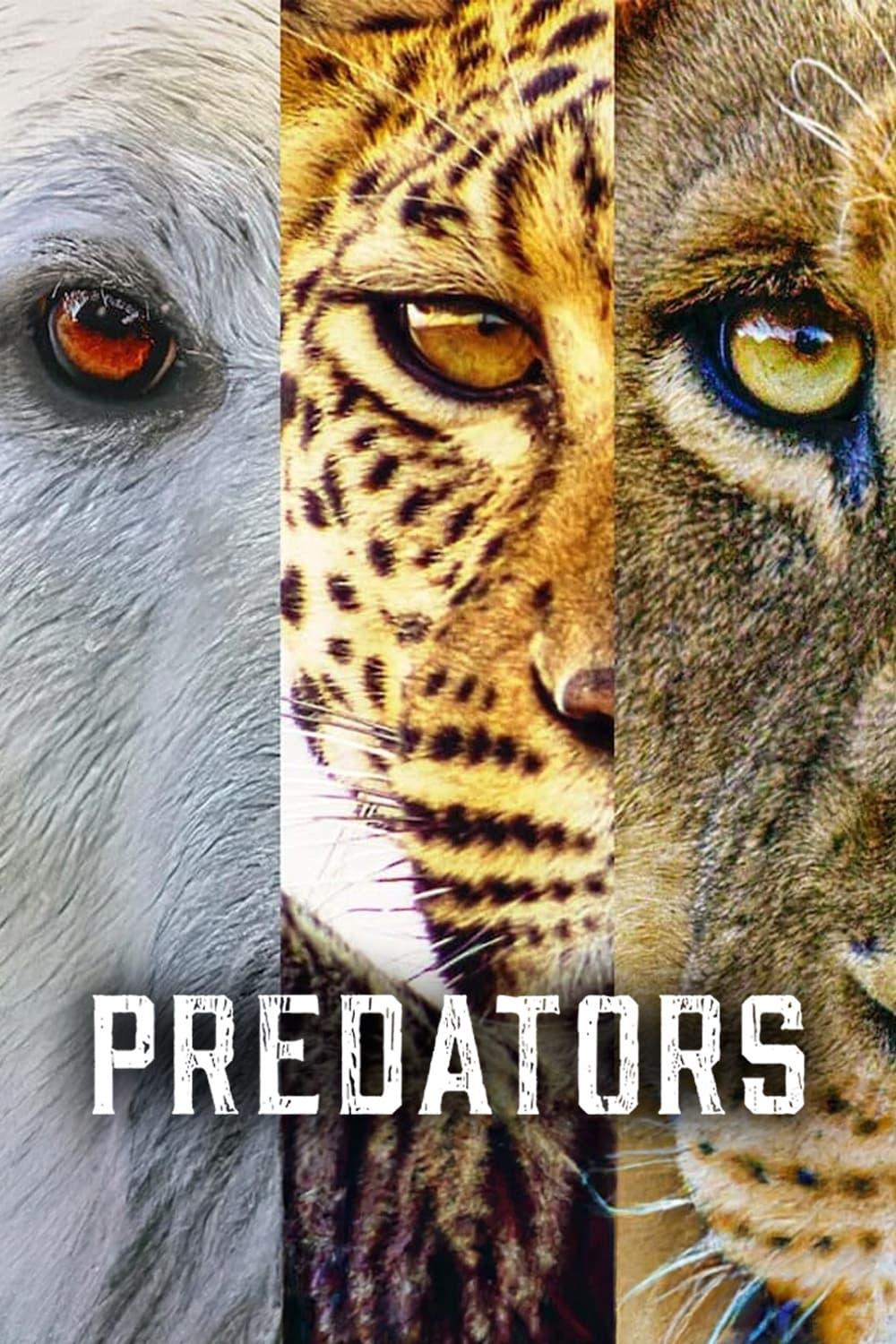 Predators poster