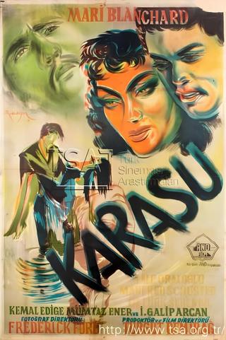 Karasu poster