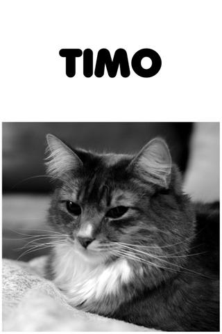 Timo poster