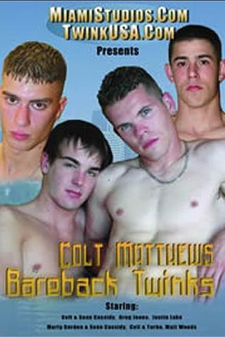 Colt Matthews' Bareback Twinks poster