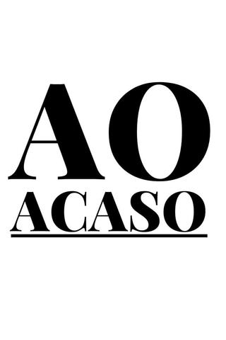 Ao Acaso poster