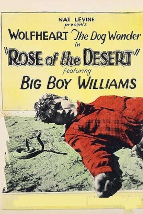 Rose of the Desert poster