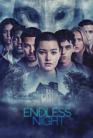 Endless Night poster