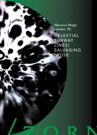 Celestial Subway Lines/Salvaging Noise poster