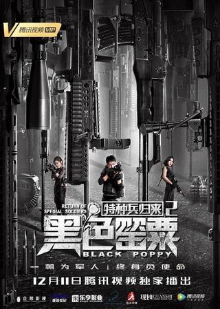Special Forces Return 2 poster