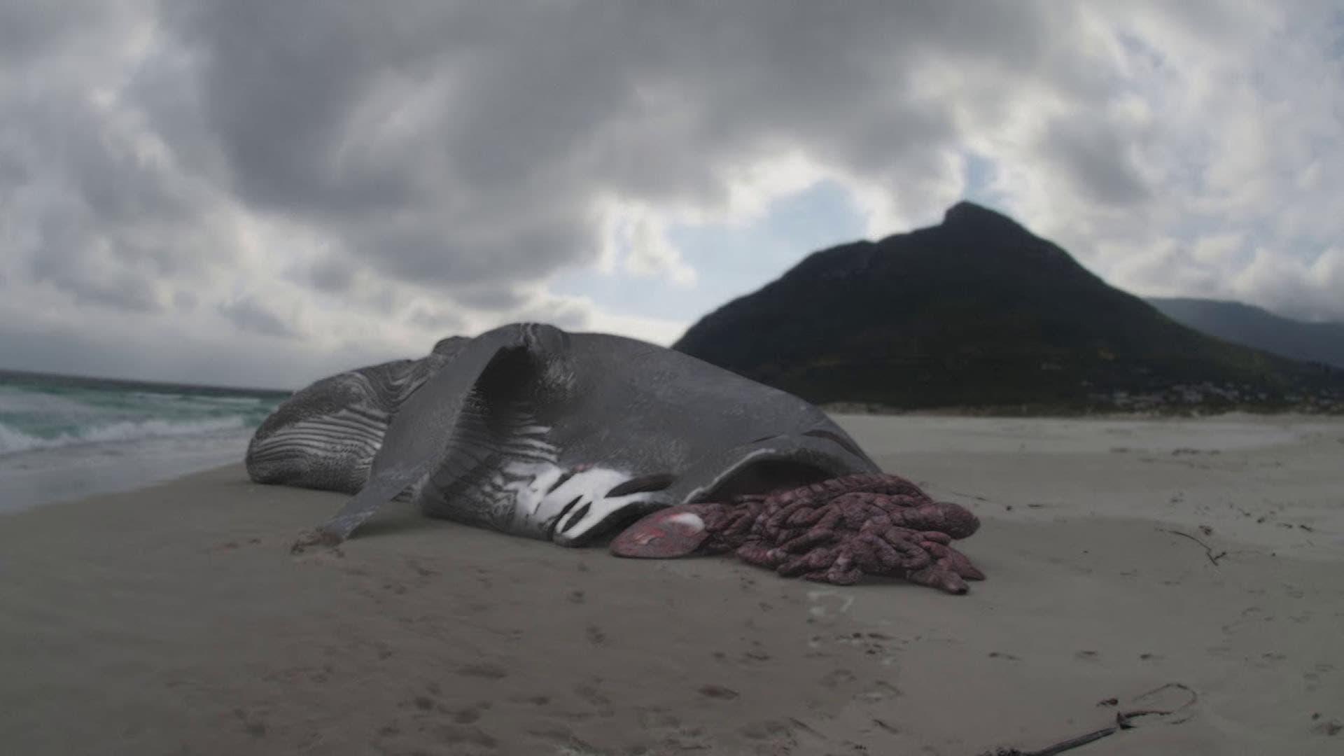 Megalodon: The Monster Shark Lives backdrop