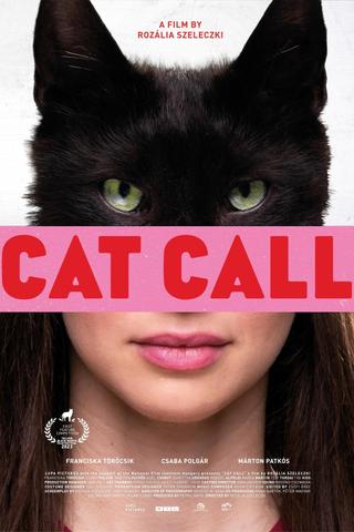 Cat Call poster