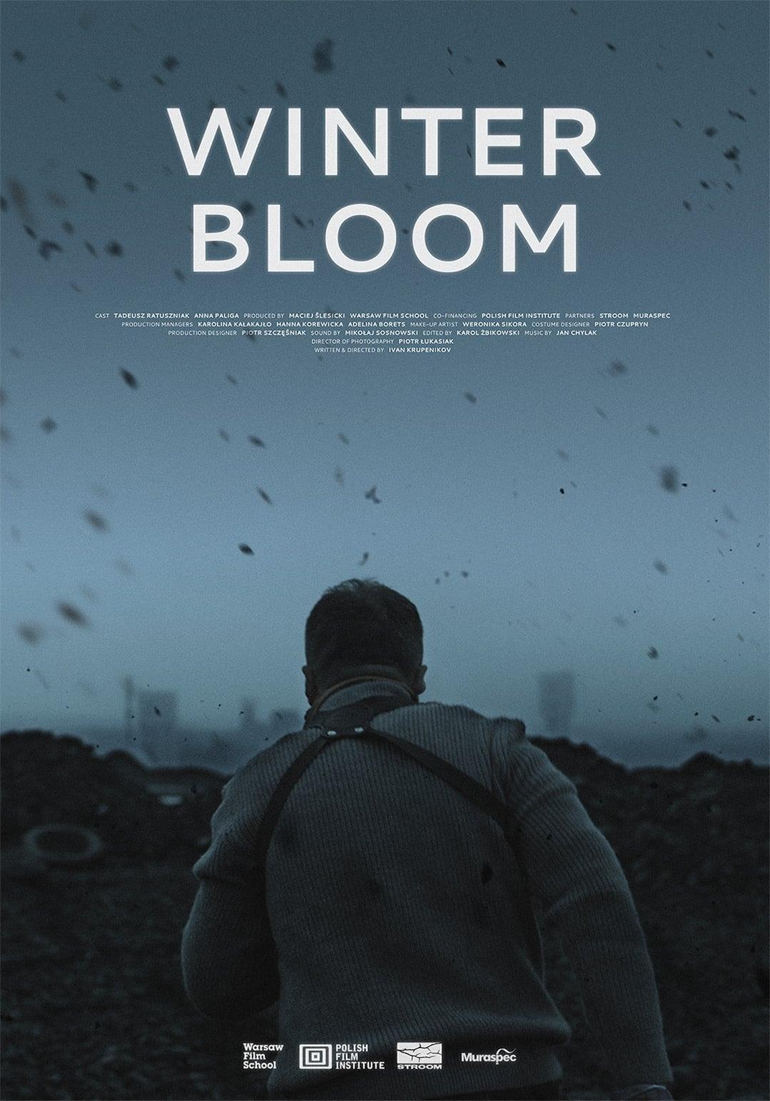 Winter Bloom poster