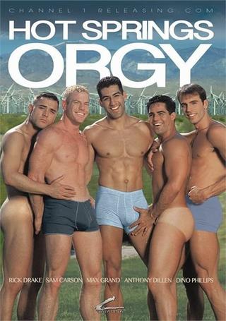 Hot Springs Orgy poster