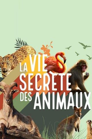 La vie secrète des animaux poster