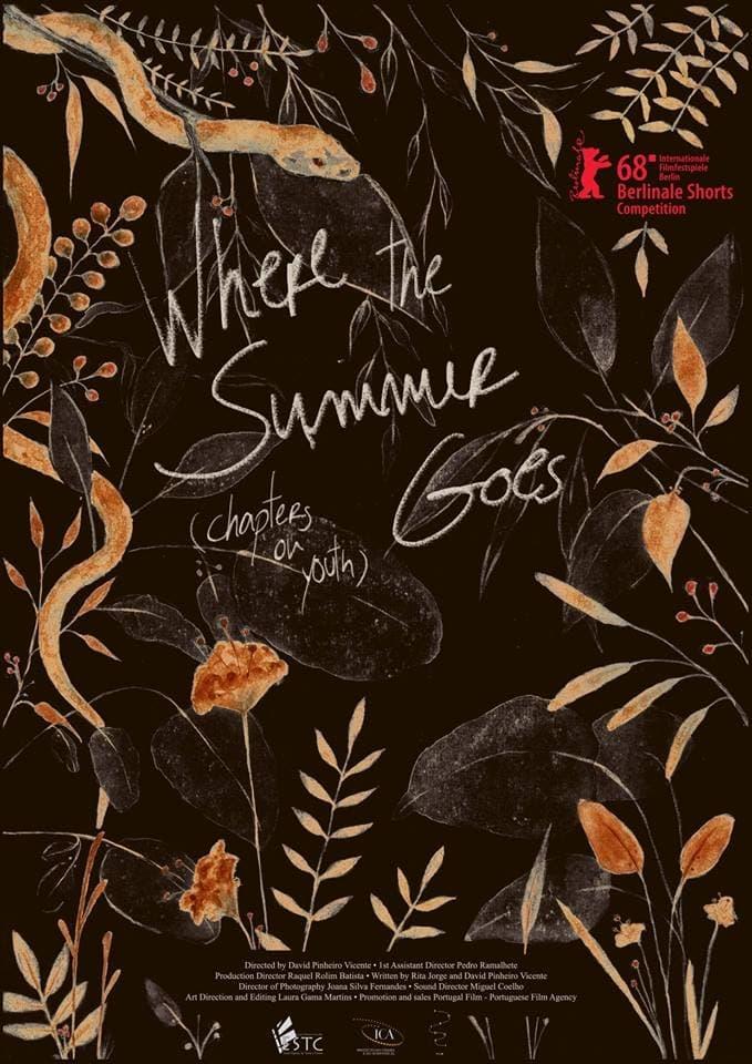 Where the Summer Goes (Chapters on Youth) poster