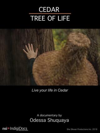 Cedar Tree of Life poster