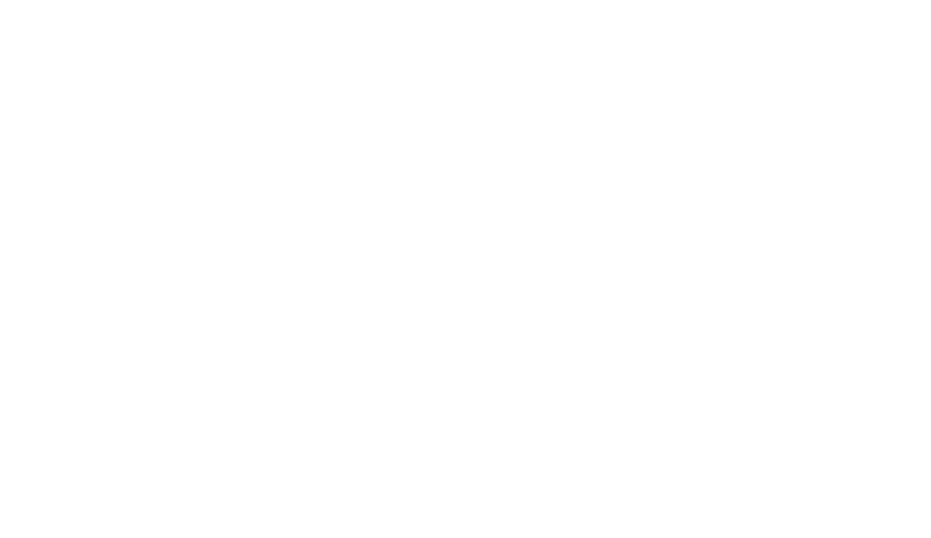 The Future Diary logo