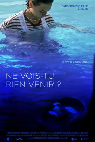 Ne vois-tu rien venir ? poster