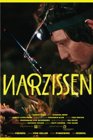 Narzissen poster