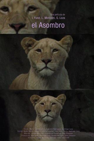 El asombro poster