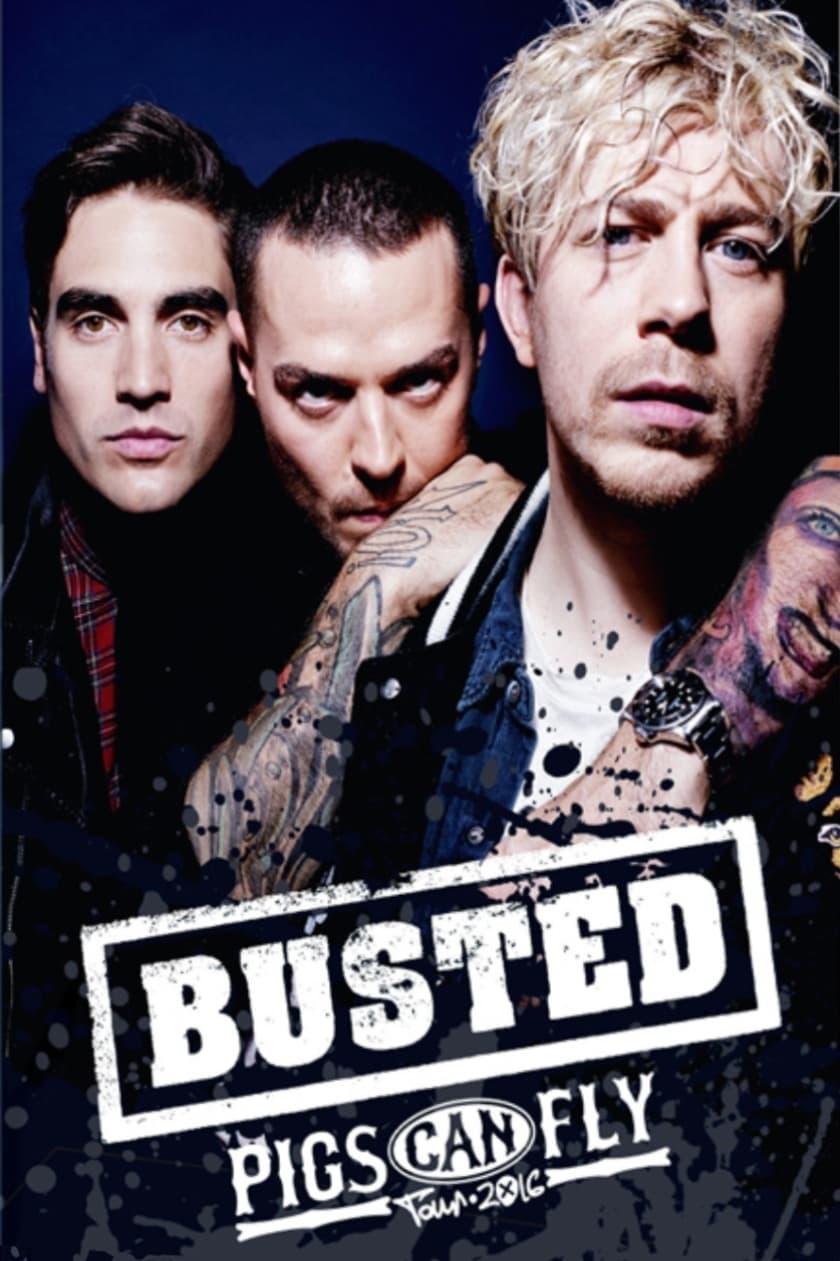 Busted: Pigs Can Fly Tour 2016 poster