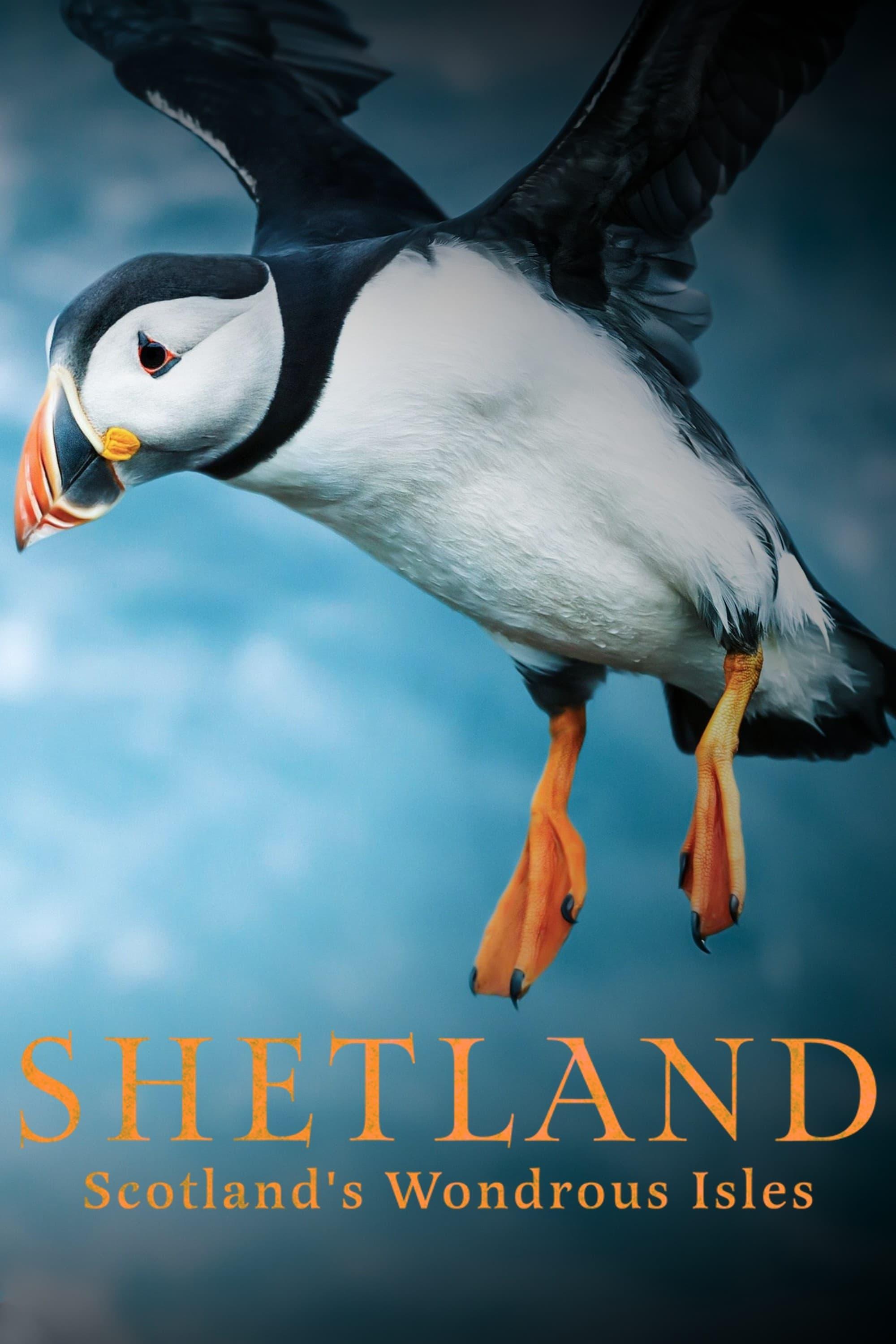 Shetland: Scotland's Wondrous Isles poster