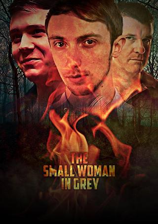 The Small Woman in Grey poster