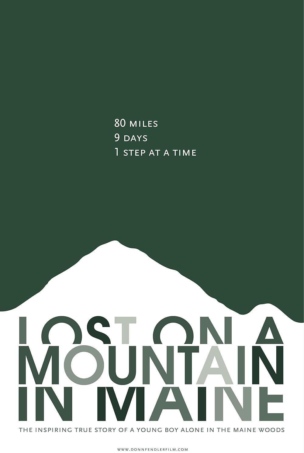 Lost on a Mountain in Maine poster