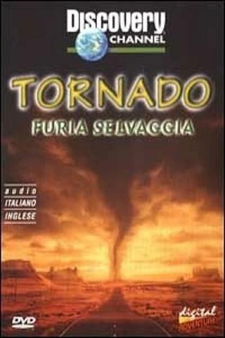 Tornado Chasers poster