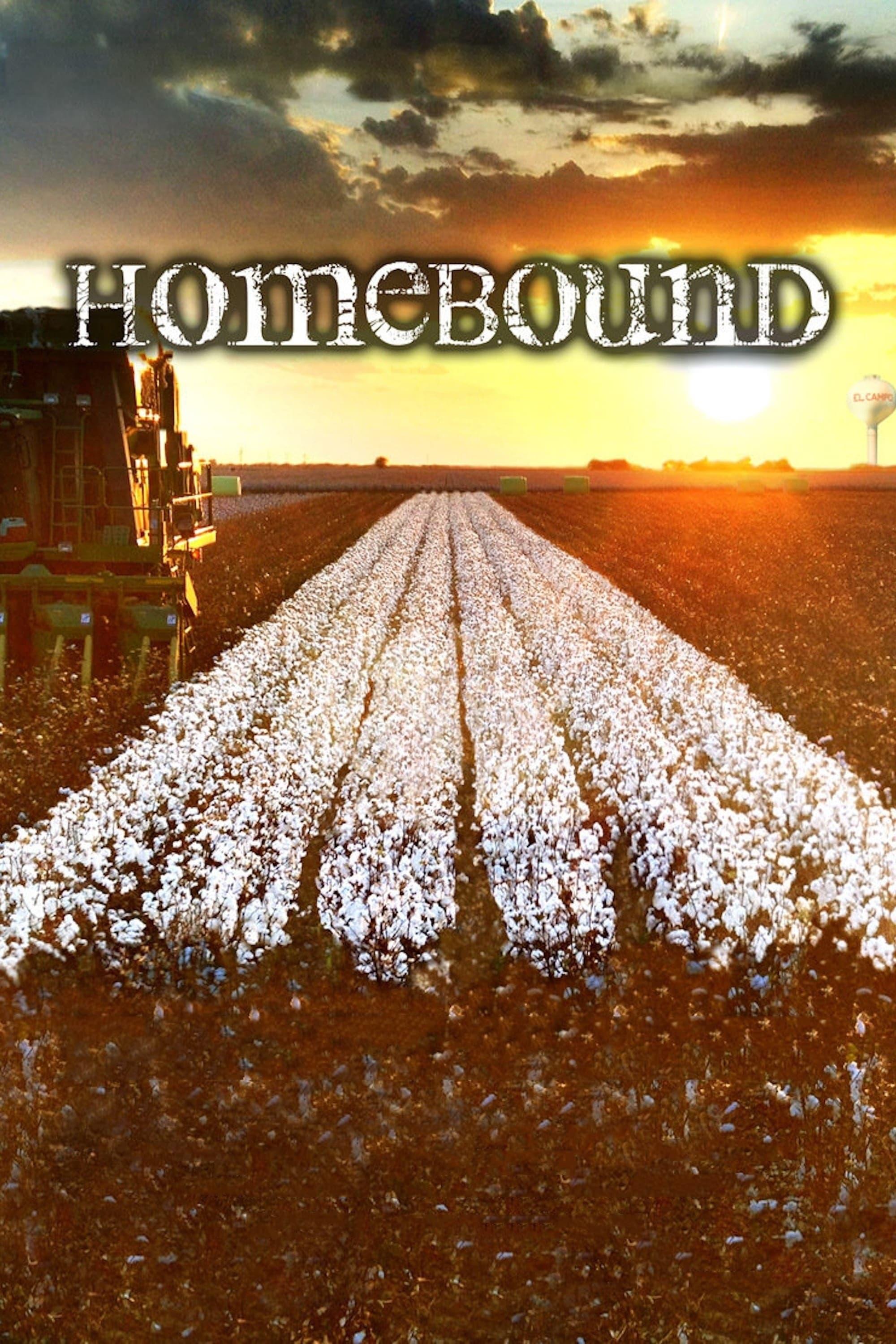 Homebound poster