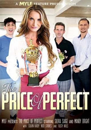 The Price of Perfect poster