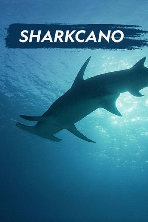 Sharkcano poster