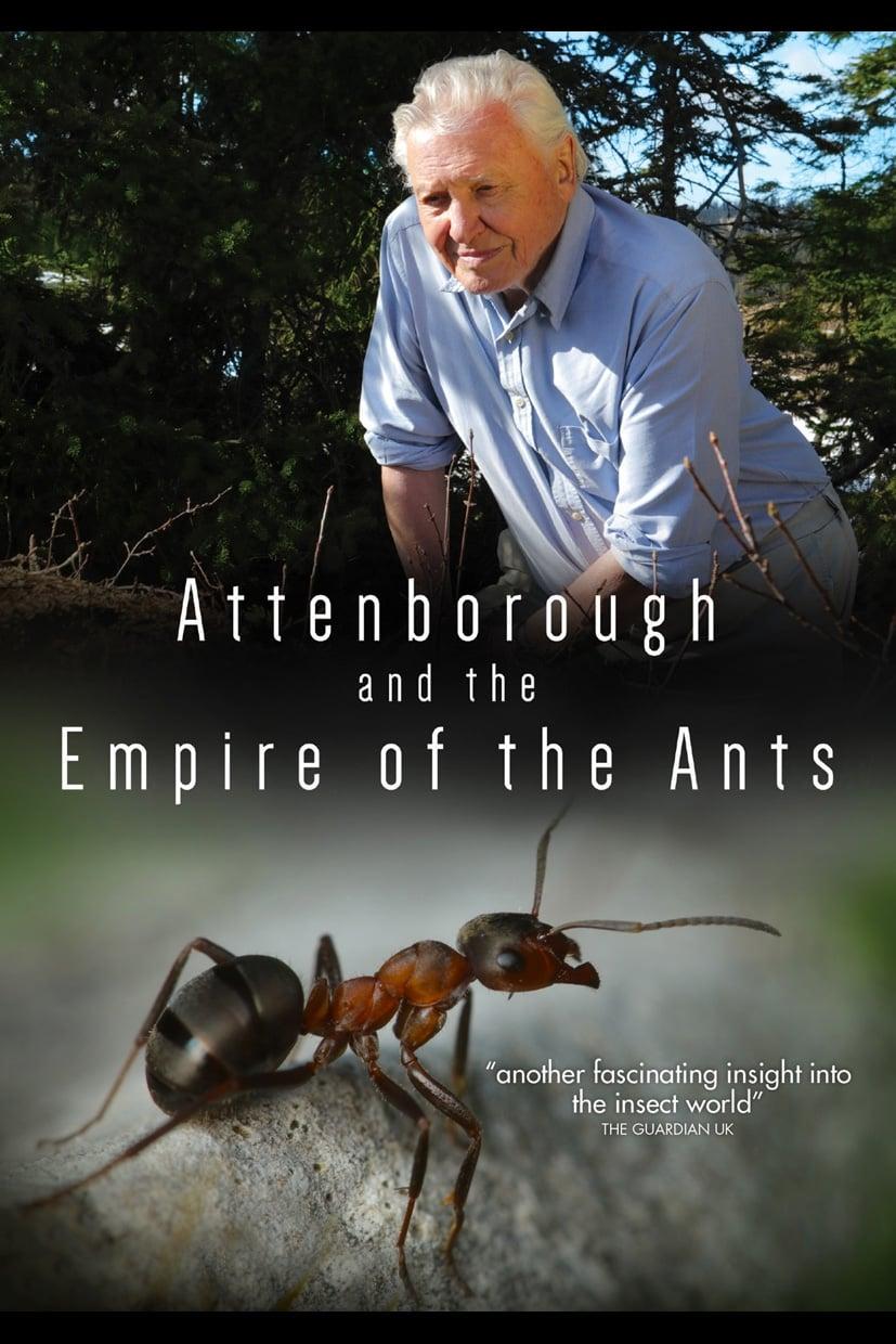 David Attenborough's Ant Mountain poster