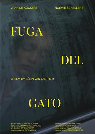 Fuga Del Gato poster