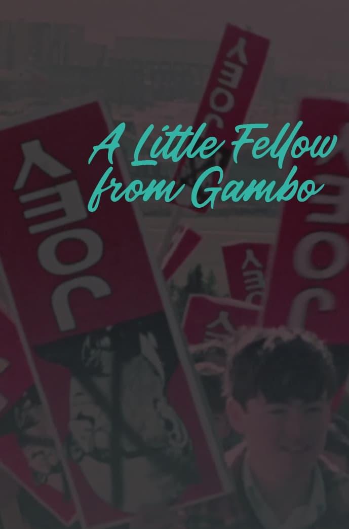 A Little Fellow from Gambo: The Joey Smallwood Story poster