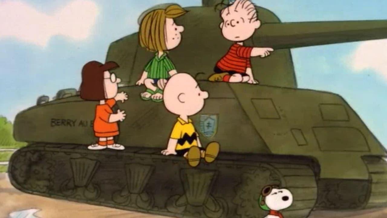 What Have We Learned, Charlie Brown? backdrop