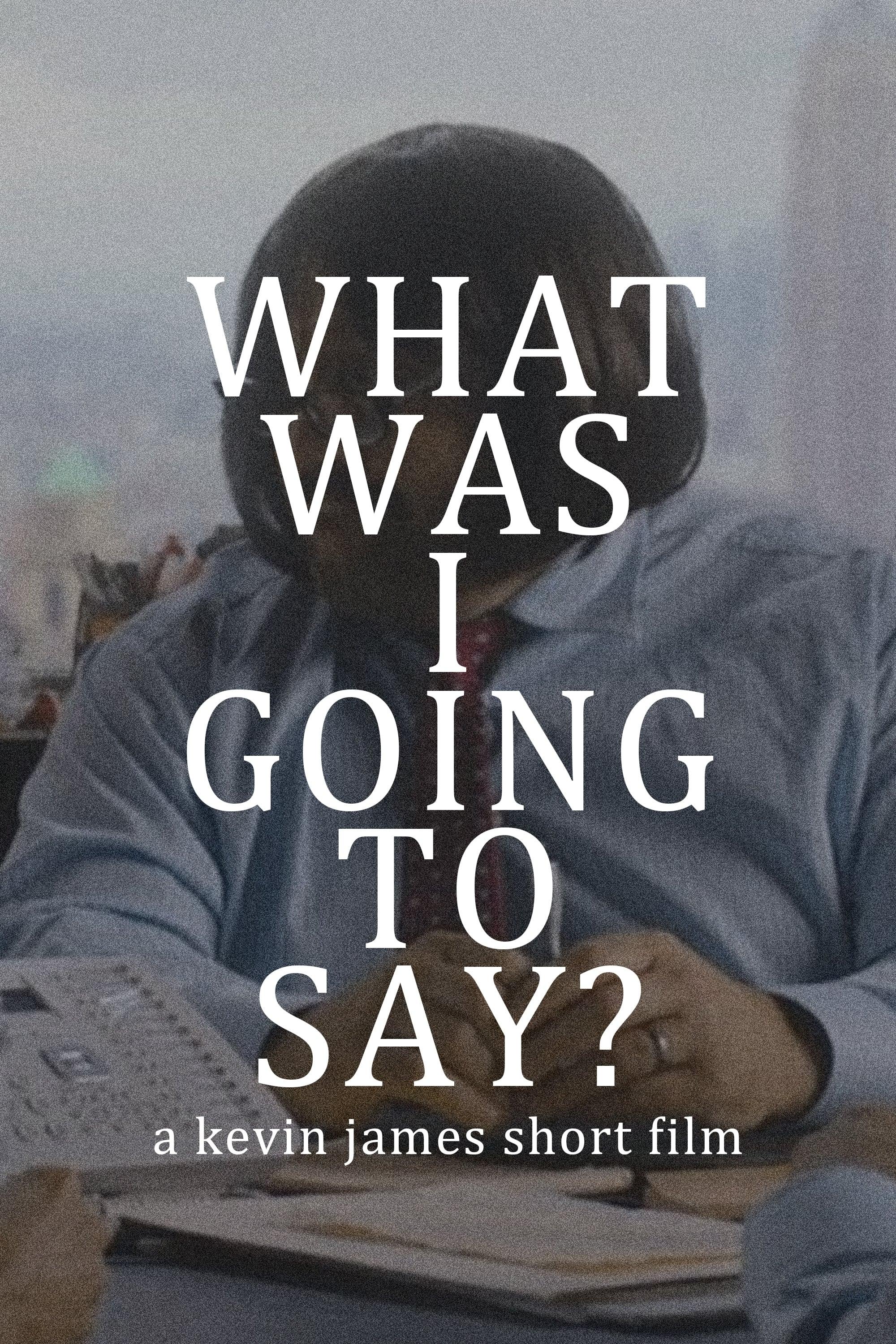 What Was I Going to Say? poster