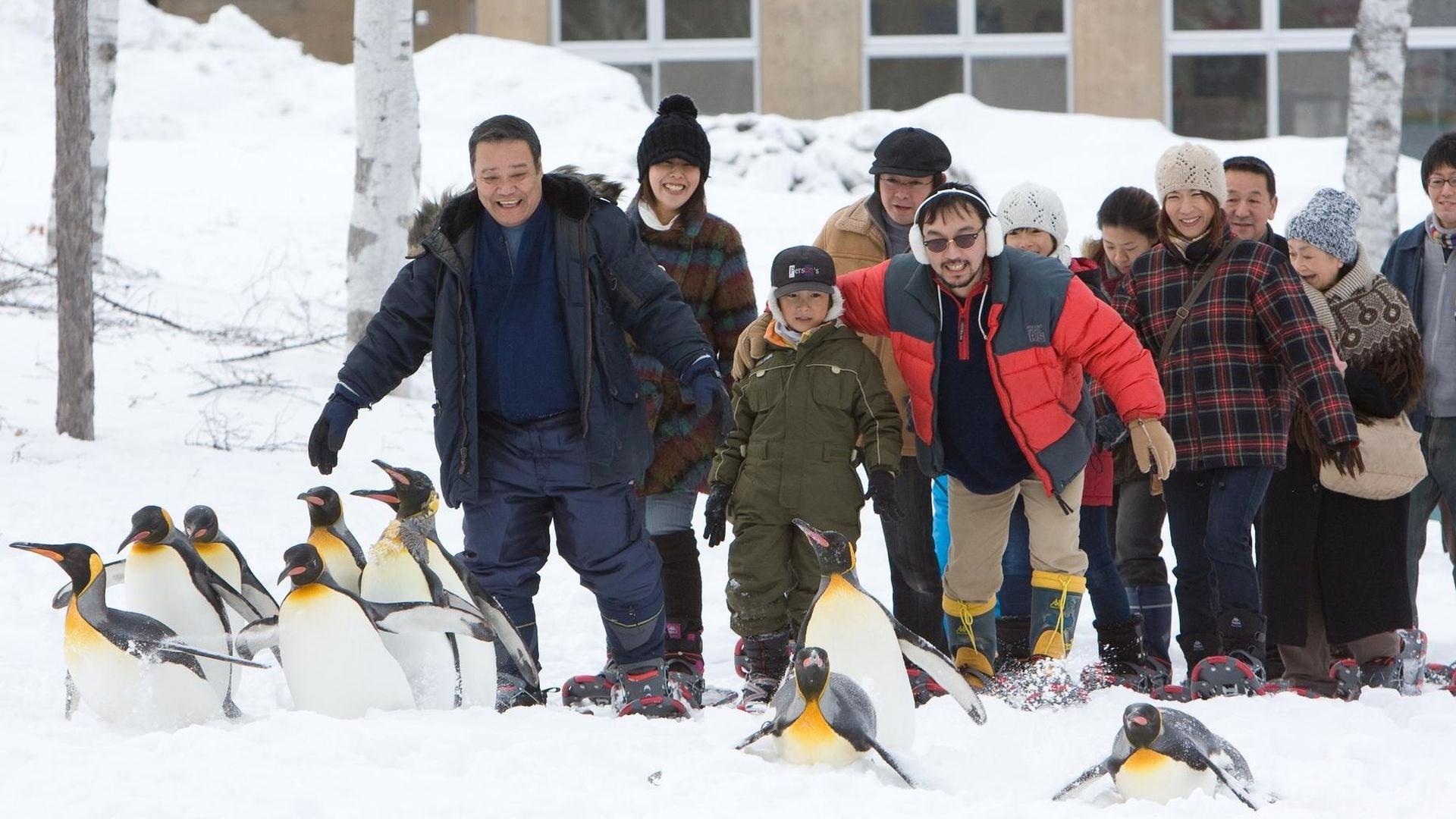 Asahiyama Zoo Story: Penguins in the Sky backdrop
