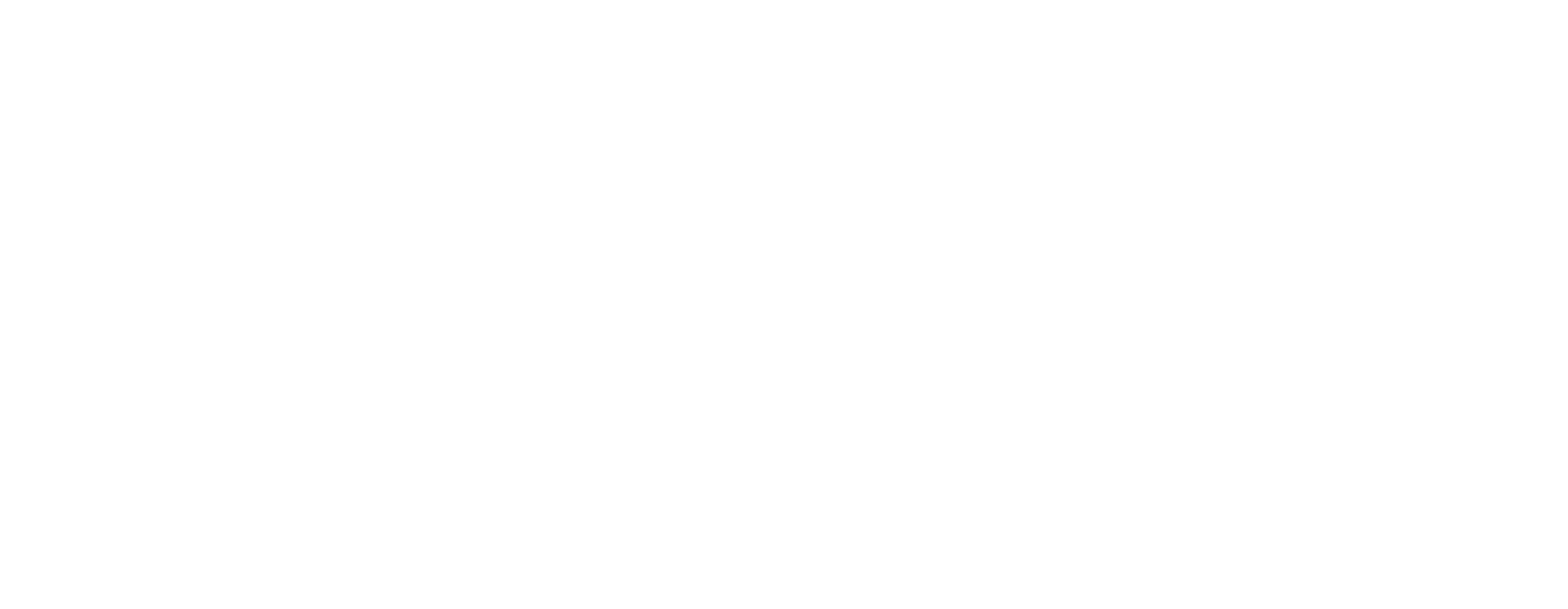 Sebastian Fitzek's Therapy logo