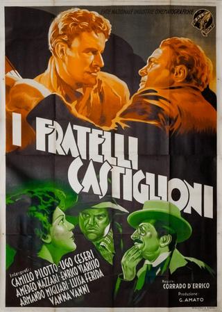 I fratelli Castiglioni poster
